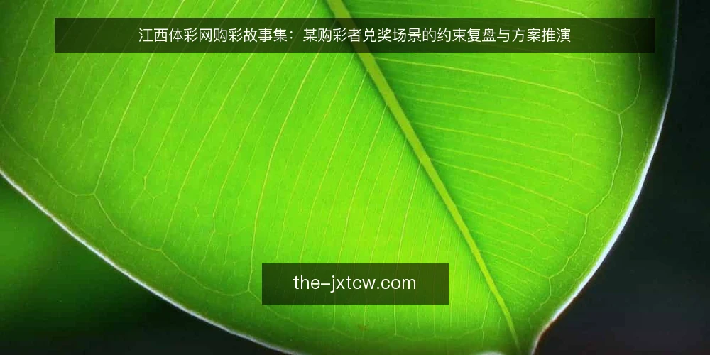 江西体彩网购彩故事集：某购彩者兑奖场景的约束复盘与方案推演 — 场景与约束：兑奖前的信息核对 配图